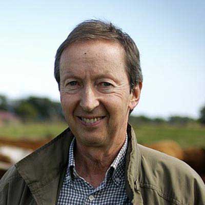 在线轰炸机网页版